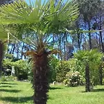 Casa Do Soito Mangualde
