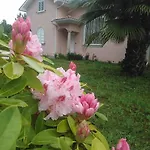 Affittacamere Casa Do Soito 3*