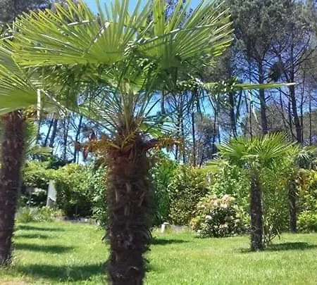 Casa Do Soito Mangualde