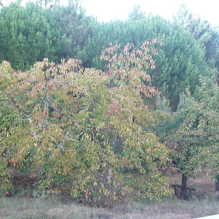 Vendégház Casa Do Soito 3*