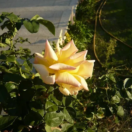 Casa Do Soito בית הארחה