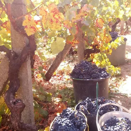 بيت ضيافة Casa Do Soito 3*