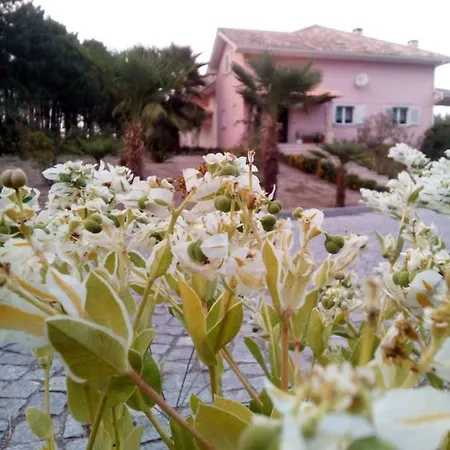 בית הארחה Casa Do Soito 3*