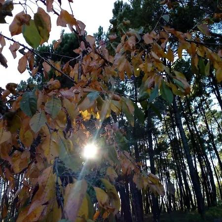 Casa Do Soito مانغوالدي