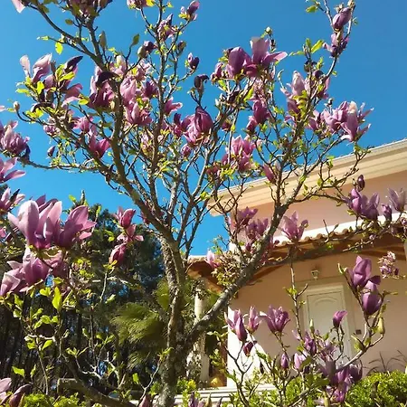 Casa Do Soito בית הארחה 3*