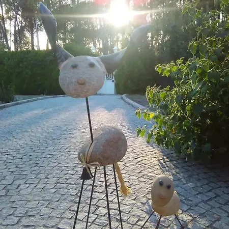 Casa Do Soito بيت ضيافة 3*