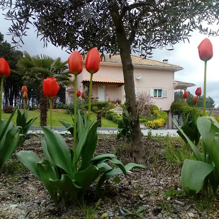Casa Do Soito * Mangualde