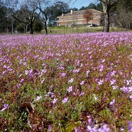 Casa Do Soito בית הארחה 3*