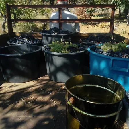 Vendégház Casa Do Soito Mangualde