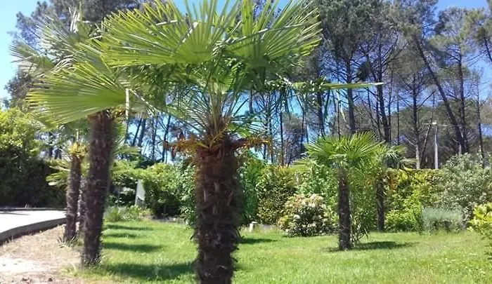 Casa Do Soito Mangualde