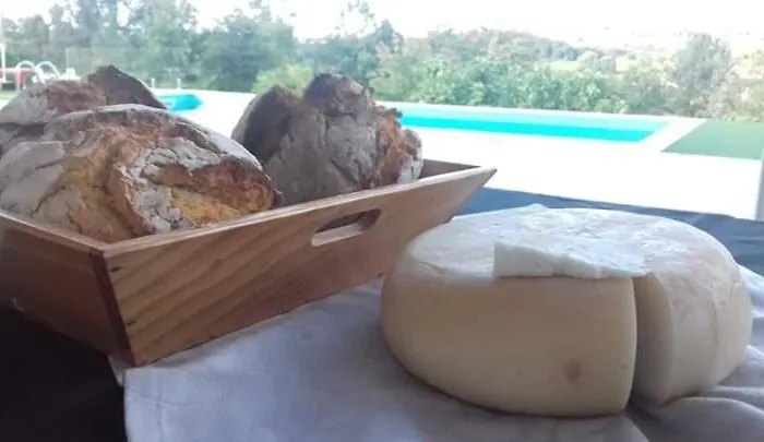 Affittacamere Casa Do Soito