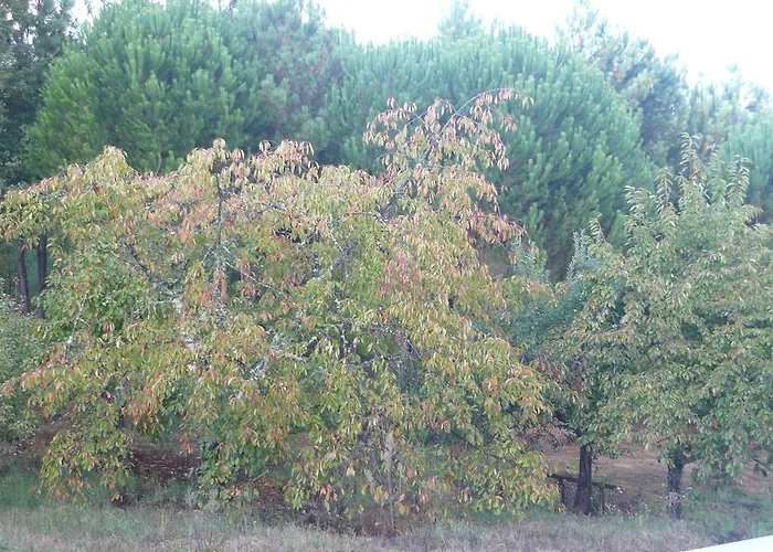 Affittacamere Casa Do Soito 3*