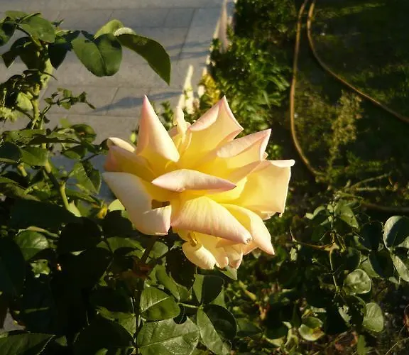 Casa Do Soito Affittacamere