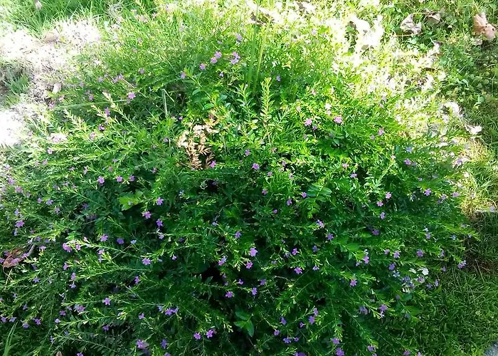 Affittacamere Casa Do Soito 3*