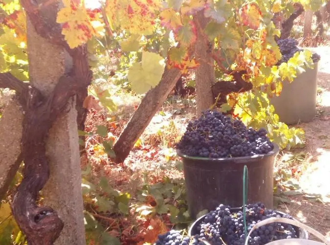 Konukevi Casa Do Soito 3*