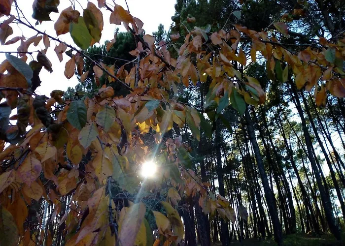 Casa Do Soito Mangualde