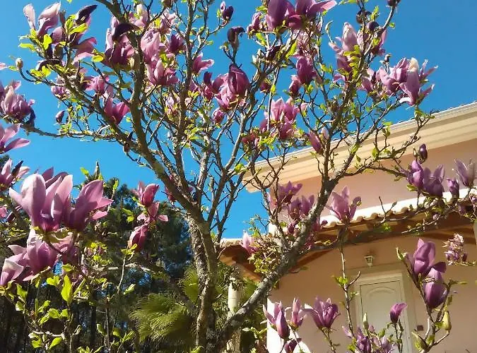 Casa Do Soito Affittacamere 3*