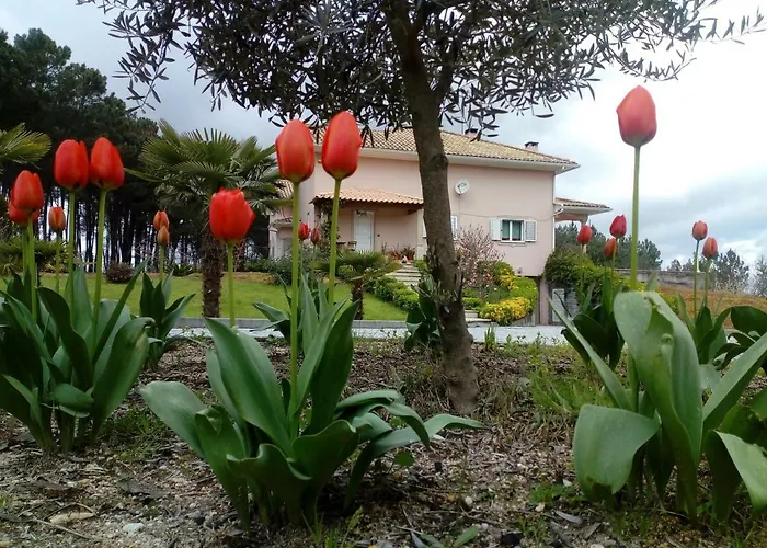 Casa Do Soito 3* 만구알데