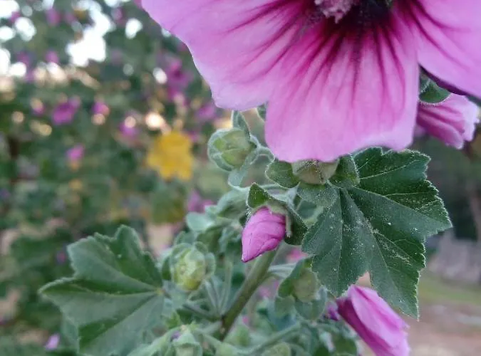 Konukevi Casa Do Soito